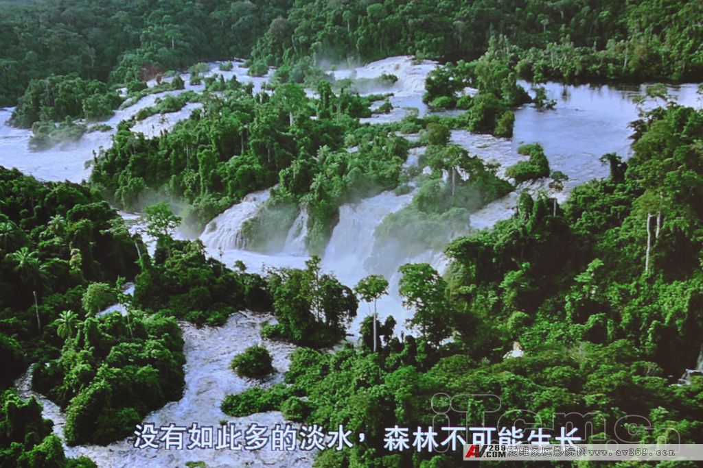 ������ײ �W�D�aHD82��������Z3000�u�y