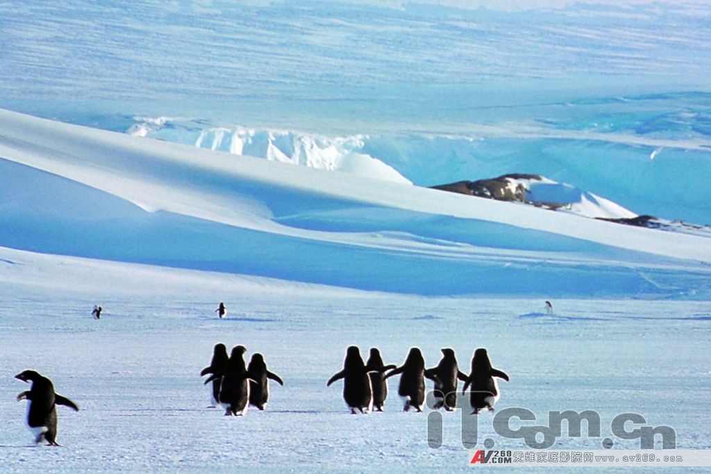 ������ײ �W�D�aHD82��������Z3000�u�y