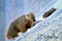 ������ײ �W�D�aHD82��������Z3000�u�y