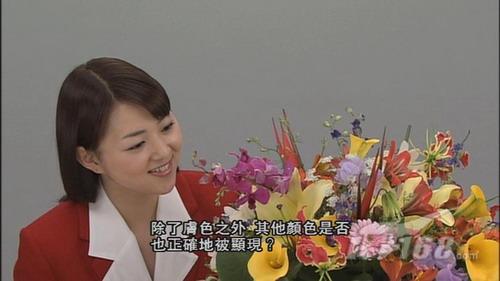 ����Ħ˹�ٳ�ɽ ���V�㌣�I�������IͶӰ�ؼ�