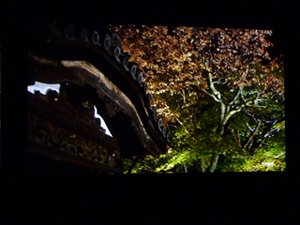 �������_δ�l��3DͶӰ VW90ES���w�