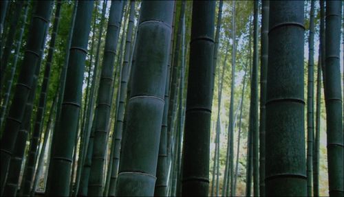 ������EH-TW4500ͶӰ�C���z