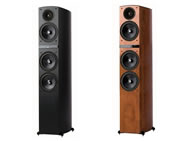 ����C809�������