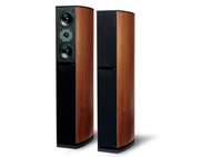 ����D590�������