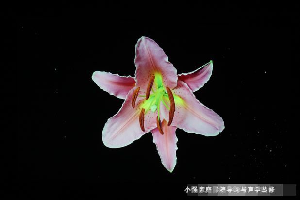 ��������ͶӰ�C