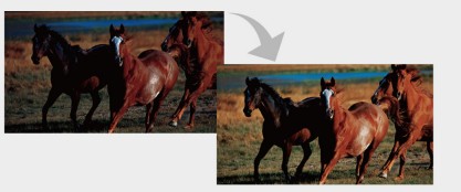 ƽ��ģ������ă��|����