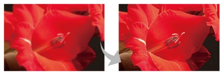 ����ȫ�����挍��������