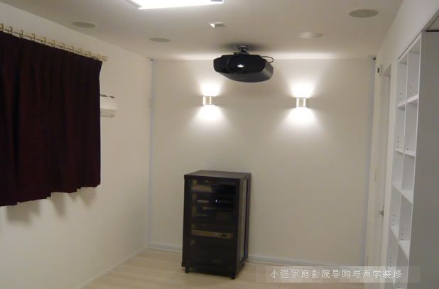 ����VW1000ESͶӰ�C