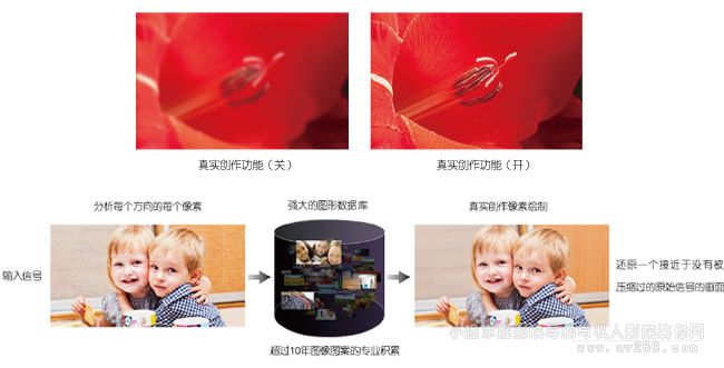 ����ͶӰ�C�挍��������