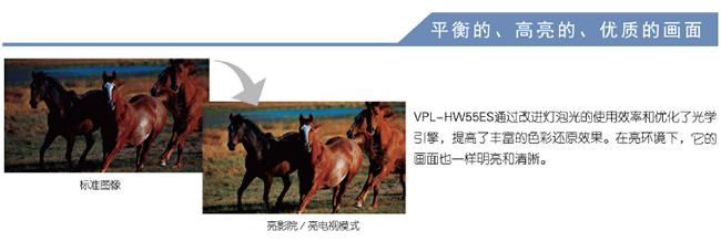 ����HW55ES���|����