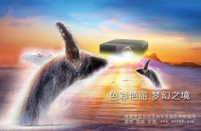 ����ͶӰ�C