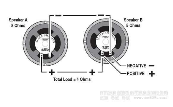 ʲô������е��迹!