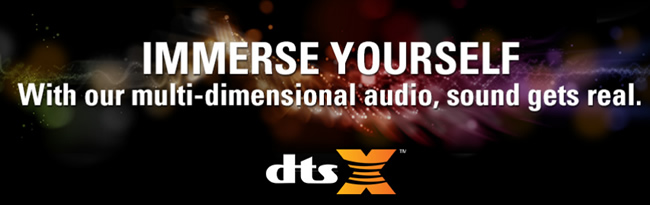 DTS:X���g