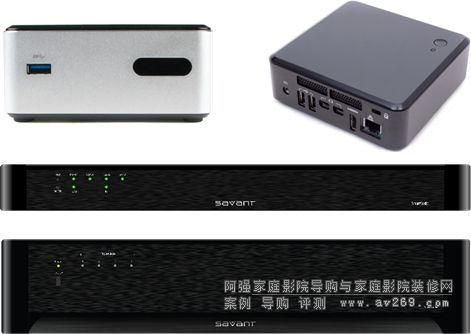 SAVANT���f��