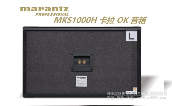 �R�mʿMKS1000H ����OK����