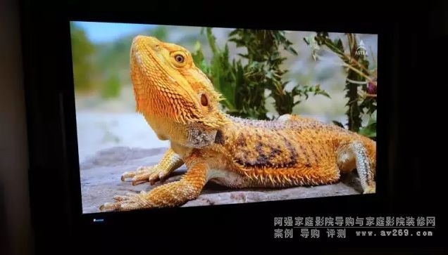 ����W11000HͶӰ�C���z