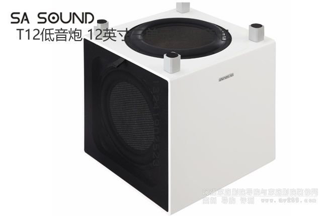 SA Sound T12������ 12Ӣ������Ԫ��������