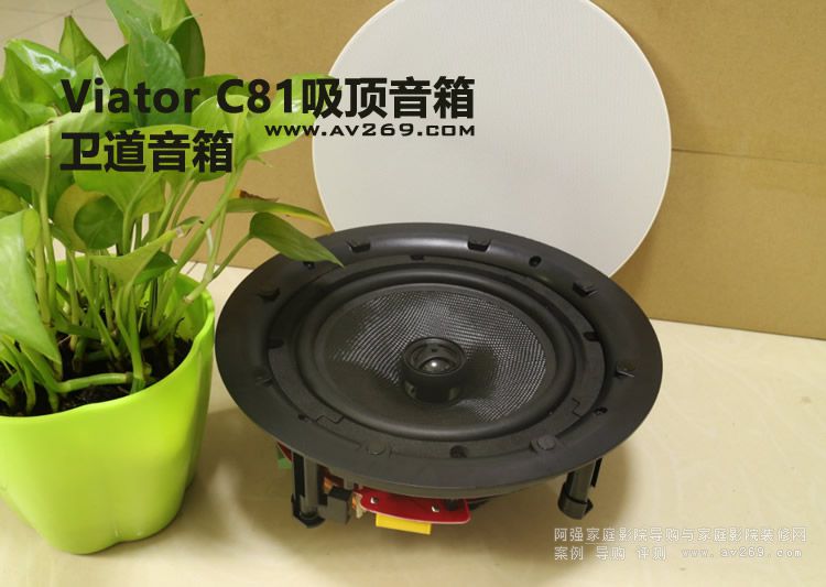 Viator�l������C81������� Ƕ��ʽ8������