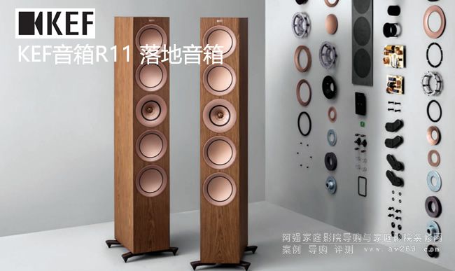KEF R11 �������