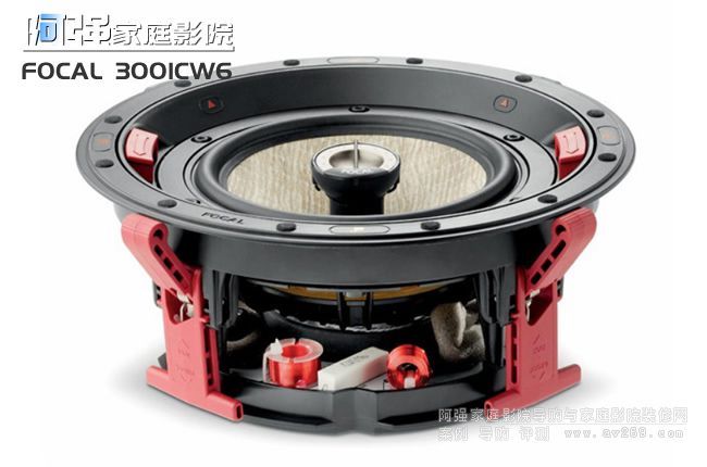 �������� Focus 300ICW6 �A��Ƕ������