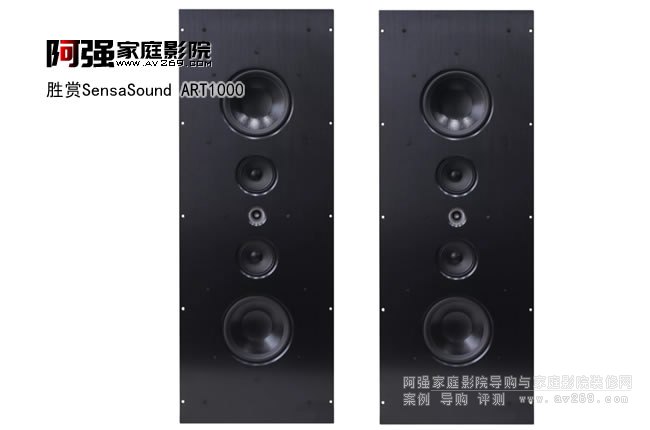 SensaSound ART1000����Ƕ��ʽ����
