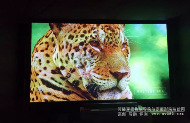 ��CӰ�����z