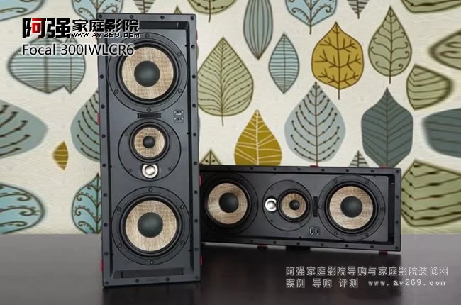 �o���挍�ĭh�@���wЧ��Focal 300IWLCR6