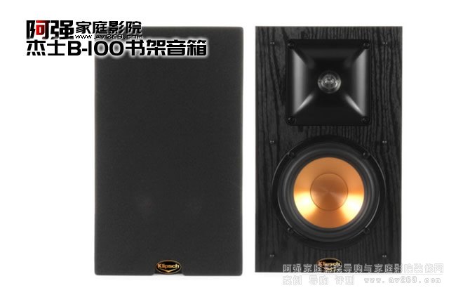 ��ʿ���B-100��������