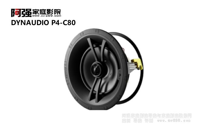 Dynaudio�����������P4-C80