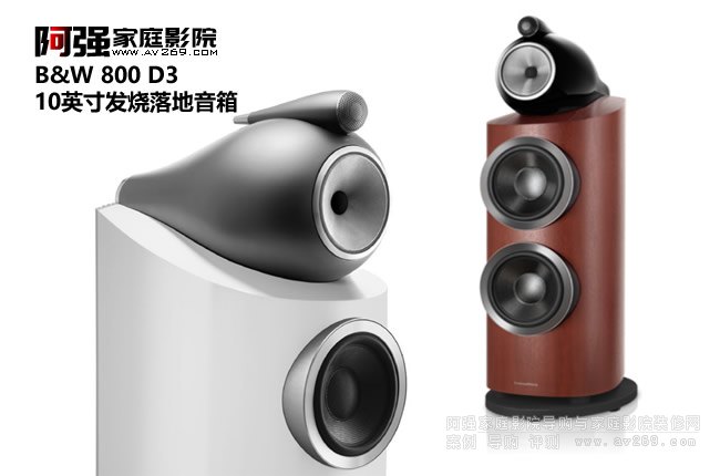 ���A�f�� B&W 800 D3��Ş�l�����������