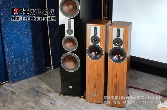 DALI Rubiconϵ��