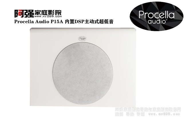Procella Audio P15A ��(n��i)��DSP����ʽ��������