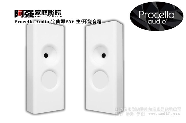 Procella Audio ������P5V �ڒ���/�h(hu��n)�@����
