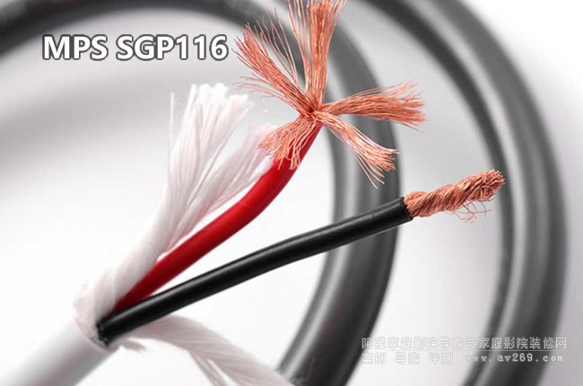 MPS SGP116�߶˰l(f��)�����侀