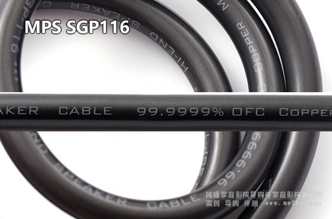 �Ї��_��MPS SGP116�߶˰l(f��)�����侀