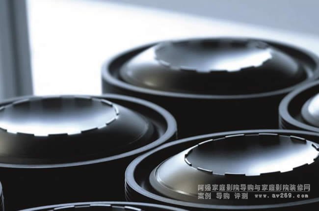 ���ö�������Dynaudio��B