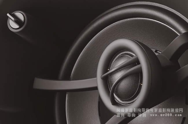 ���ö�������Dynaudio��B