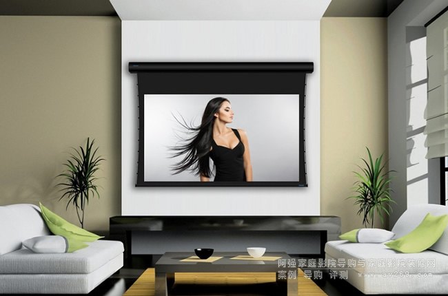 Stewart Filmscreen StudioTek 130 G4 ͶӰĻ�u�y ����ɫ�ʱ��F