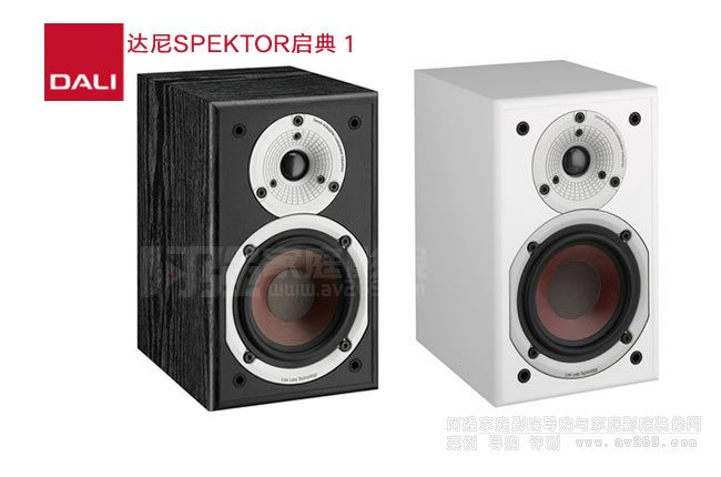 DALI SPEKTOR1 �_�ᆢ��1���������B