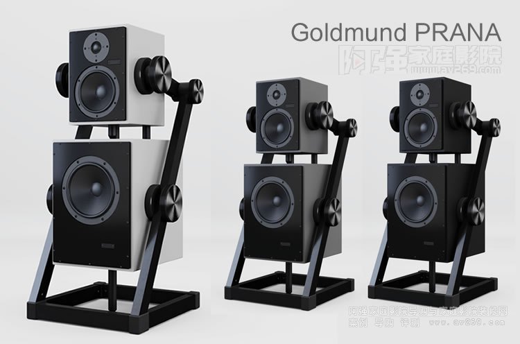 ��ʿ���� Goldmund PRANA�o������ʽ�����B