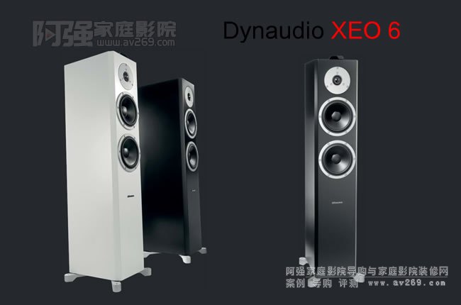 Dynaudio Xeo6 �Ɛ��o����Դ��������B