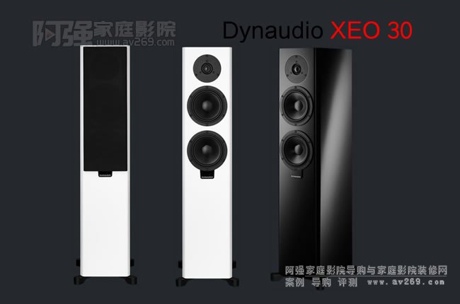 Dynaudio Xeo30 �Ɛ��o����Դ��������B