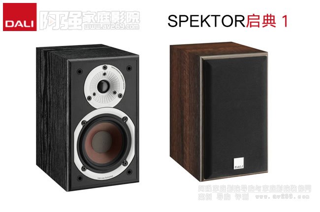 �����_(d��)��SPEKTOR����1��������