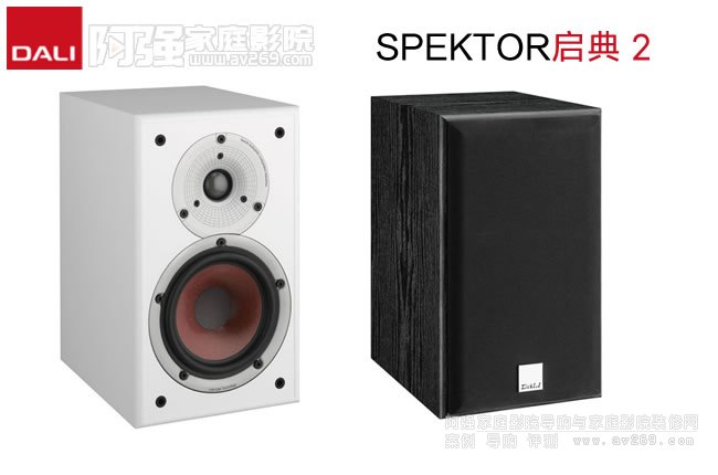 �����_(d��)��SPEKTOR����2��������