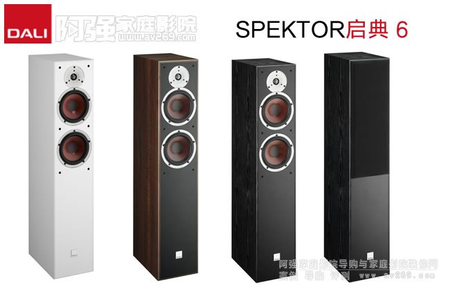 �����_��SPEKTOR���� 6�������