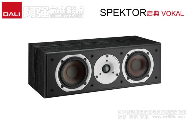 �����_��SPEKTOR����VOKAL��������