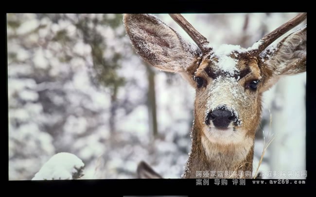 ���� VPL-XW5000ES ͶӰ�C�D���|��