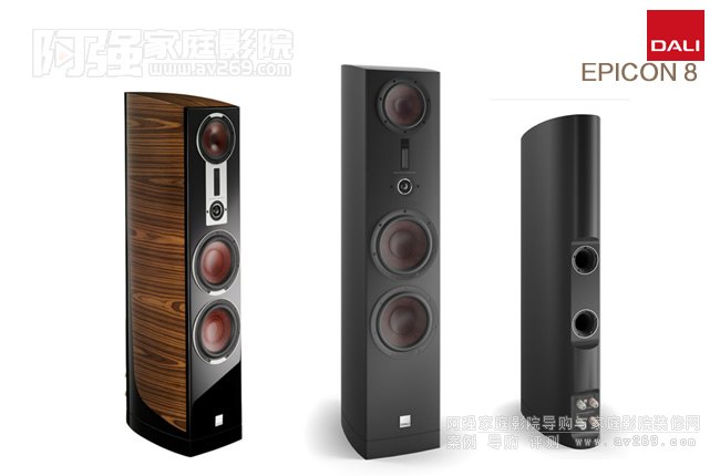 DALI�_��EPICON 8��Ş�����B