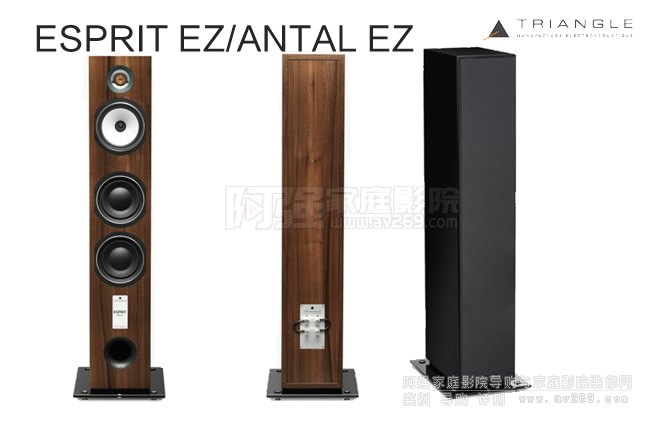 TRIANGLE Antal Ez,���ǰ��D�������