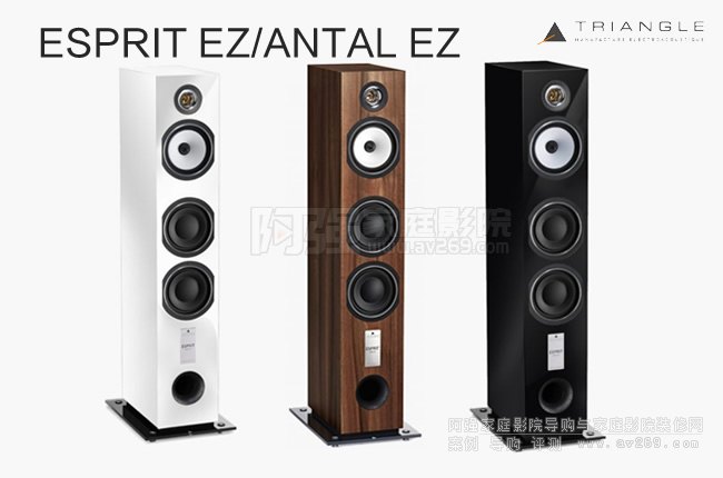 TRIANGLE Antal Ez,���ǰ��D��������B